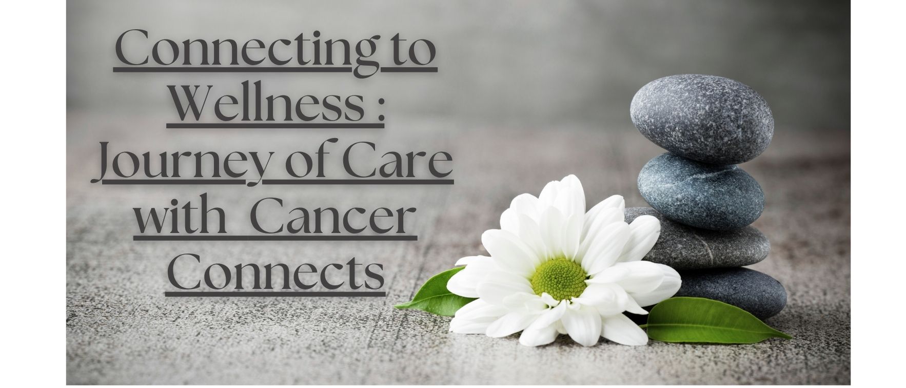 Connecting to Wellness: Journey of Care